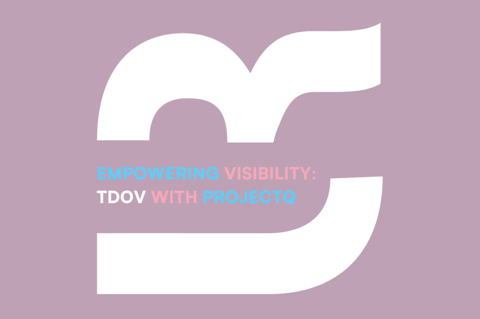 Empowering Visibility: TDOV with ProjectQ